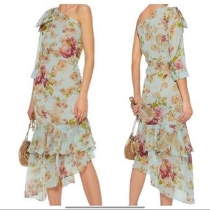 Walter Baker Floral Sophina Dress